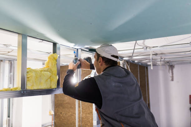 Best Spray Foam Insulation  in Jean Fitte, LA