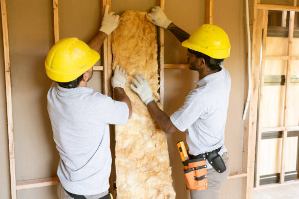 Best Insulation Removal  in Jean Fitte, LA